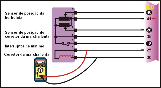 8905.jpg (80090 bytes)
