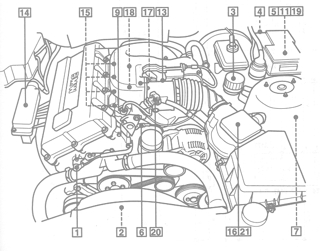 BMWS copy.gif (110099 bytes)