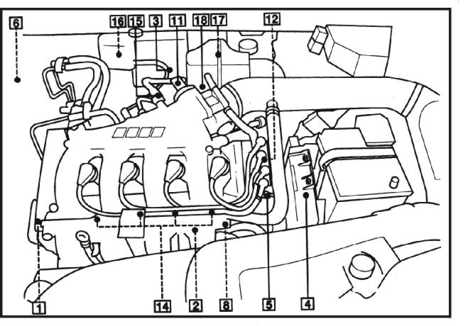 Capi 01.jpg (67752 bytes)