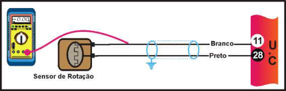 FT3.jpg (15791 bytes)