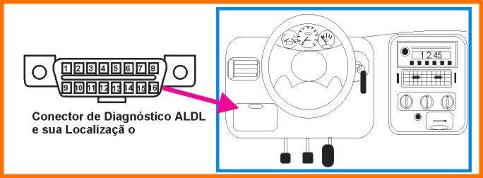 dingo.jpg (31463 bytes)