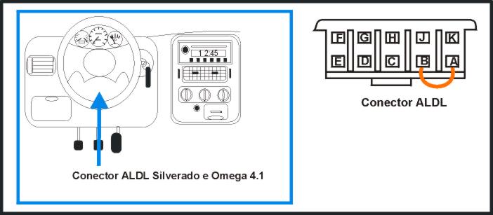 mer.jpg (31932 bytes)