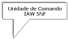 Texto explicativo retangular: Unidade de Comando IAW 5NF
